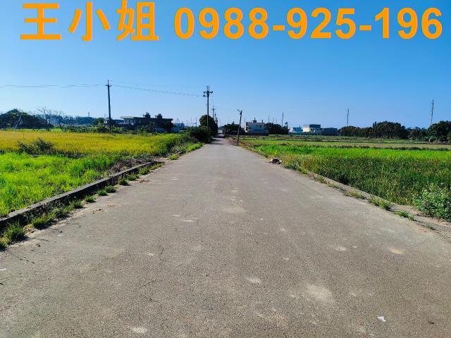 新屋農地-2