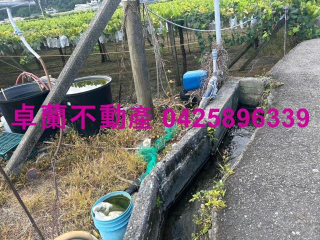 苗栗農地-3