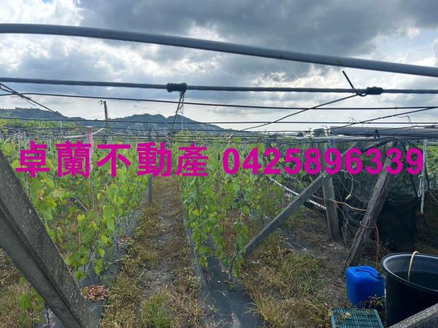 苗栗農地-4