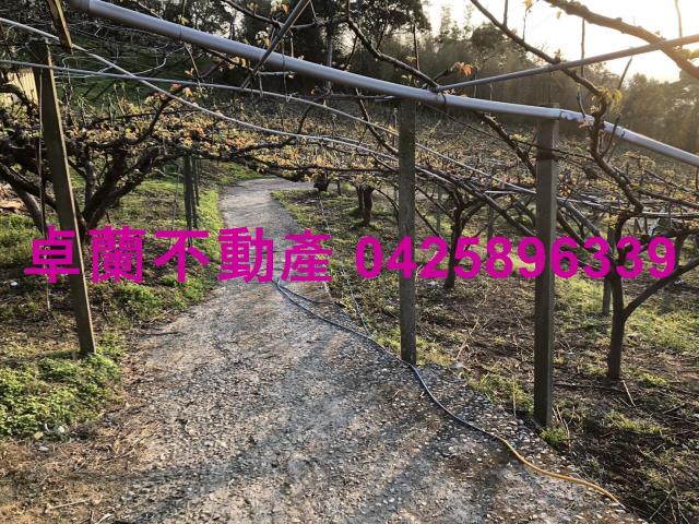 苗栗卓蘭農地-10