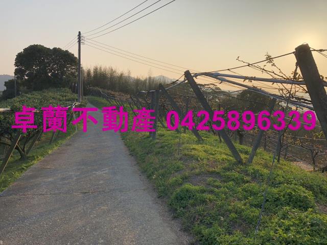 苗栗卓蘭農地-12