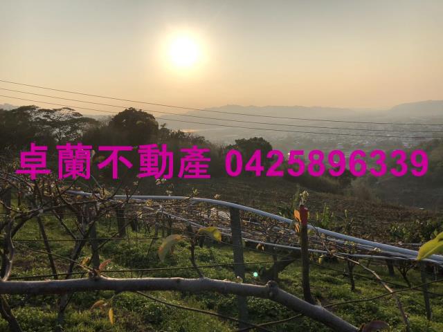 苗栗卓蘭農地-14