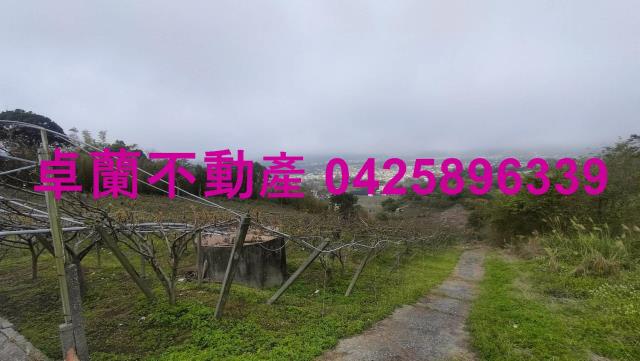 苗栗卓蘭農地-3