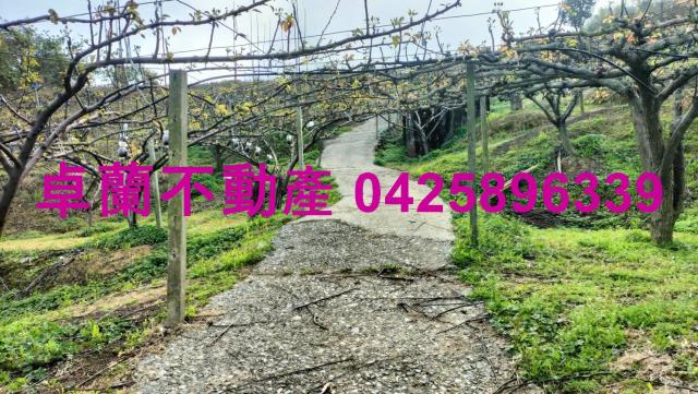 苗栗卓蘭農地-4
