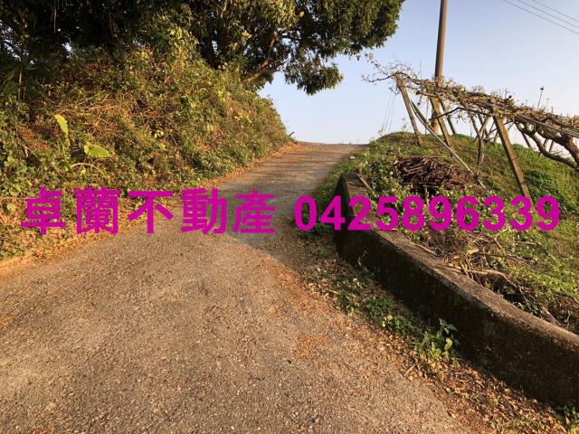 苗栗卓蘭農地-8