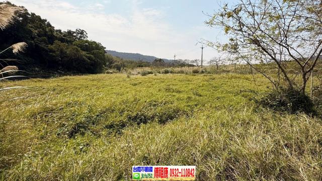 新埔農地-10