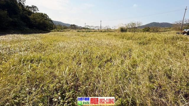 新埔農地-11