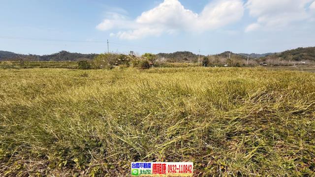 新埔農地-12
