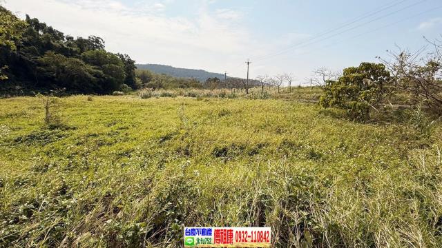 新埔農地-9