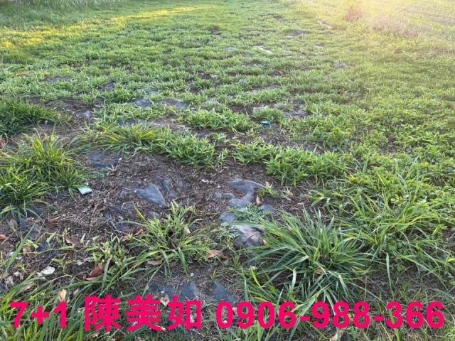 高雄岡山農地-1