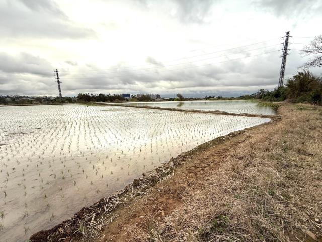 桃園平鎮農地-2