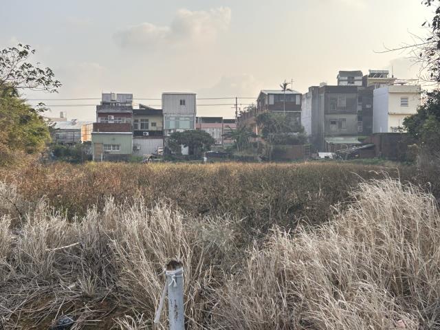 桃園中壢農地-8