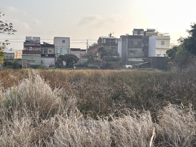 桃園中壢農地-9
