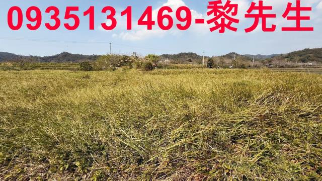 新竹新埔農地-13
