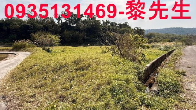 新竹新埔農地-5