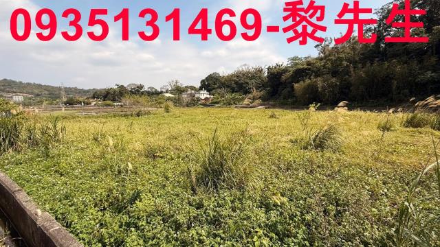 新竹新埔農地-9