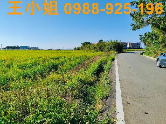 新屋農地-4