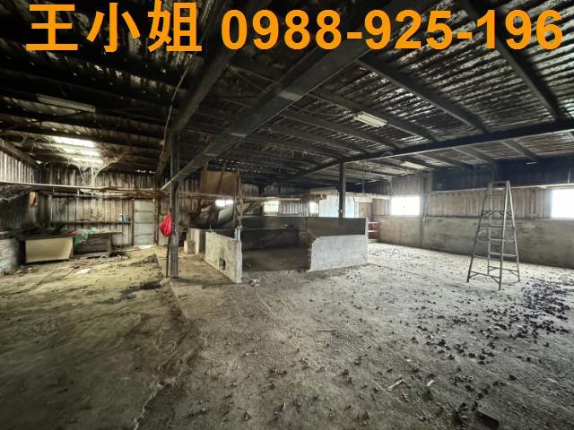 平鎮農地-10