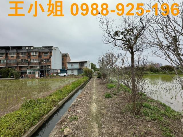 平鎮農地-12