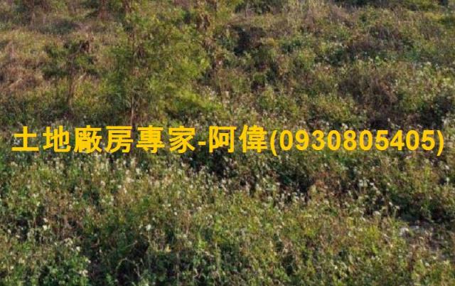 麻豆工業地-1