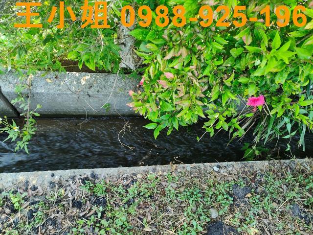 新屋農地-5