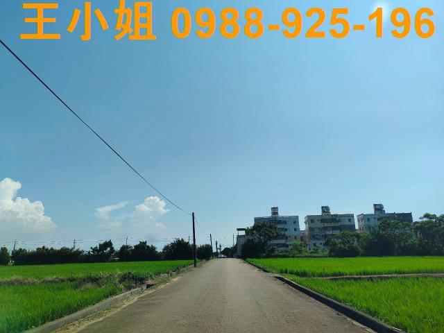 新屋農地-6