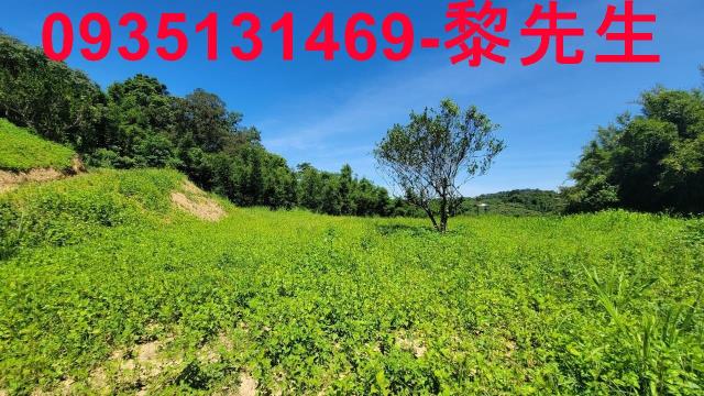 芎林農地-2