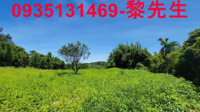 芎林農地-4