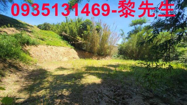 新竹農地-6