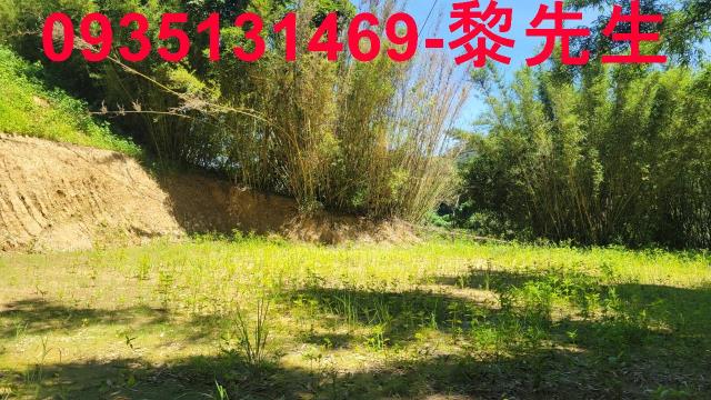 新竹農地-8