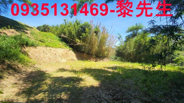 新竹農地-4
