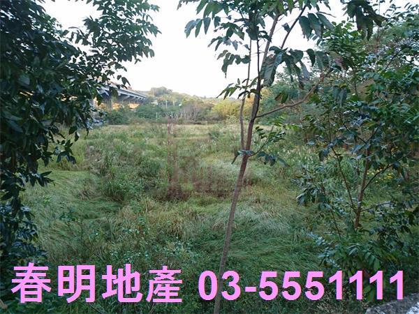 香山農地-8