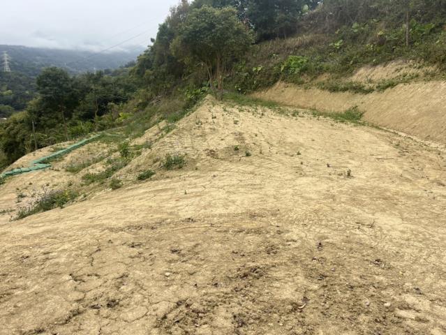東勢山坡地-2