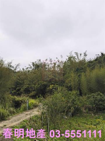 新竹新埔建地-5