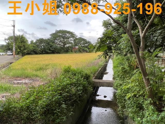 桃園中壢農地-4