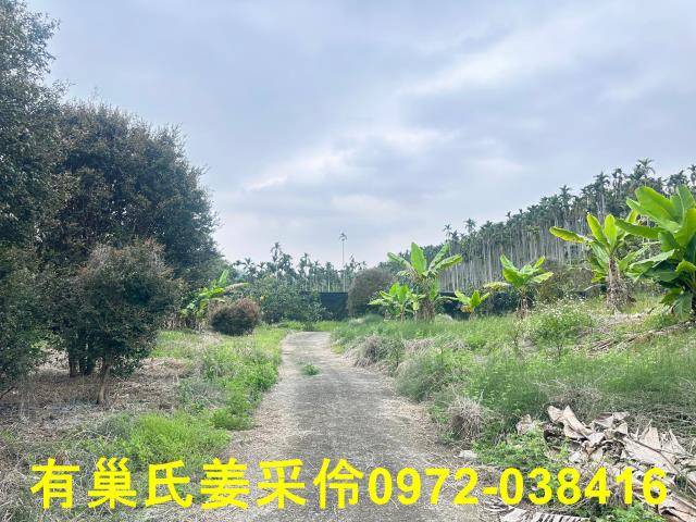 中埔農地-4