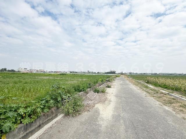 學甲農地-13