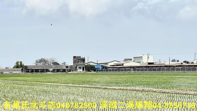 彰化農地-3