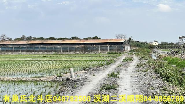 彰化農地-4