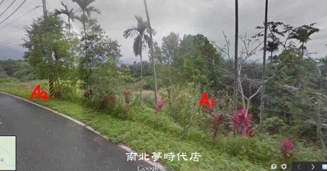 花蓮農地-1