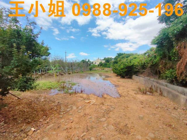 桃園大園農地-2