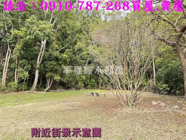 左鎮農地-8