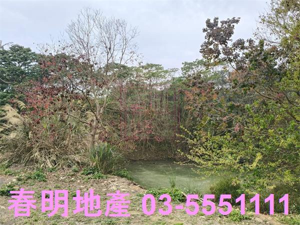 新竹農地-3