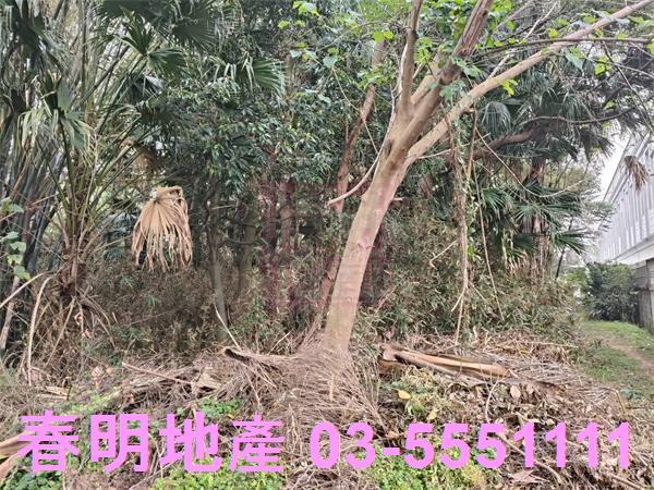 新竹農地-5