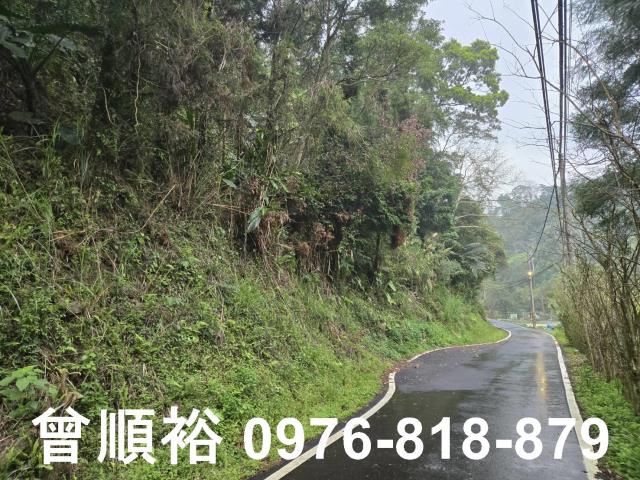 新竹北埔山坡地-10