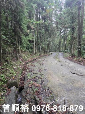 新竹北埔山坡地-15