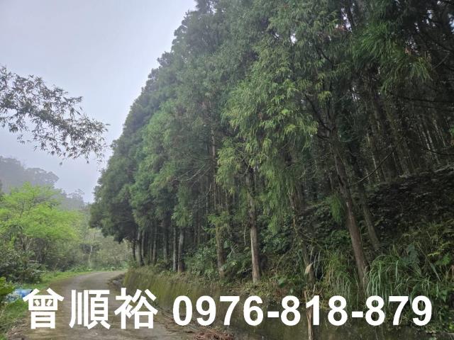 新竹北埔山坡地-1