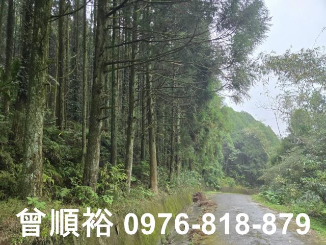 新竹北埔山坡地-2