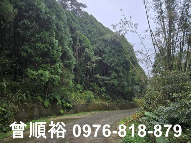 新竹北埔山坡地-3