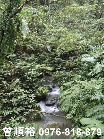 新竹北埔山坡地-4